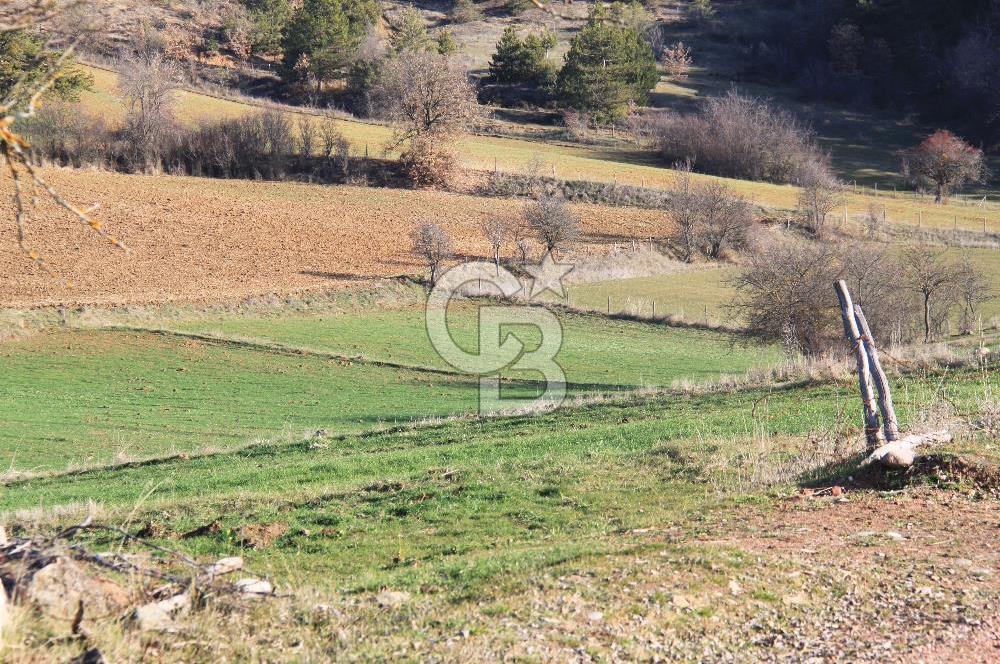 KASTAMONU İHSANGAZİ DAĞYOLU KÖYÜNDE 1642 M2 TARLA - YATIRIMLIK