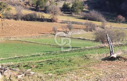 KASTAMONU İHSANGAZİ DAĞYOLU KÖYÜNDE 1642 M2 TARLA - YATIRIMLIK