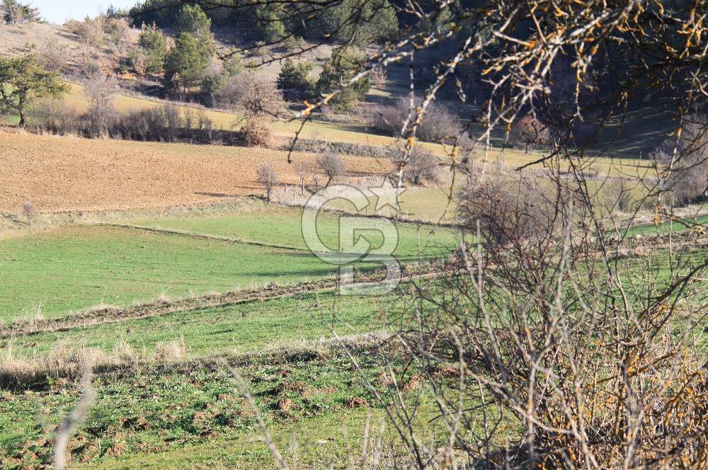 KASTAMONU İHSANGAZİ DAĞYOLU KÖYÜNDE 1642 M2 TARLA - YATIRIMLIK