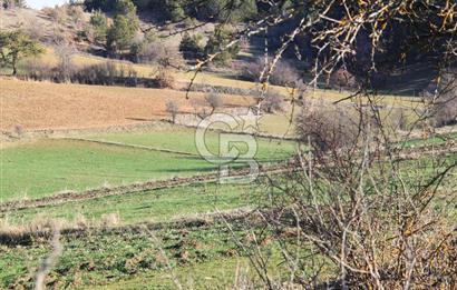 KASTAMONU İHSANGAZİ DAĞYOLU KÖYÜNDE 1642 M2 TARLA - YATIRIMLIK