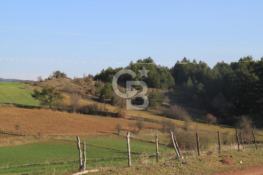 KASTAMONU İHSANGAZİ DAĞYOLU KÖYÜNDE 1642 M2 TARLA - YATIRIMLIK