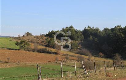 KASTAMONU İHSANGAZİ DAĞYOLU KÖYÜNDE 1642 M2 TARLA - YATIRIMLIK