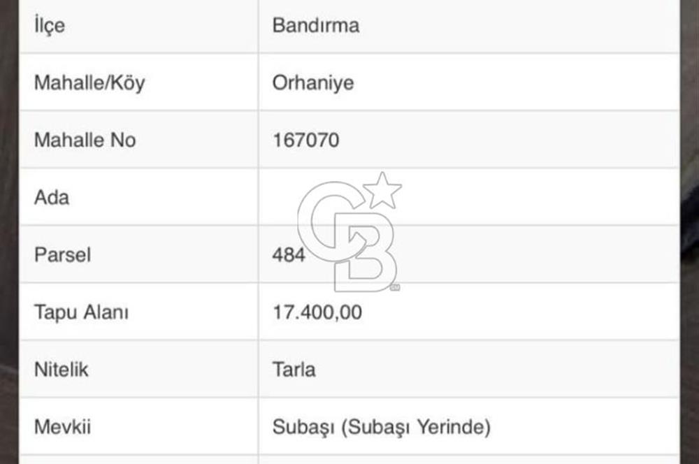 CB Leader'dan Bandırma Orhaniye'de satılık zeytinlik