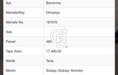 CB Leader'dan Bandırma Orhaniye'de satılık zeytinlik