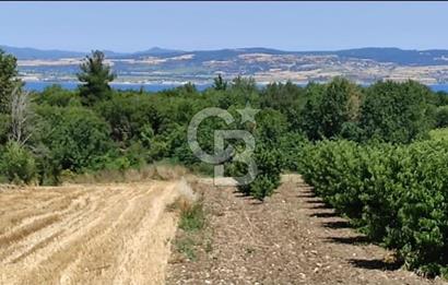 1915 Çanakkale Köprüsü Manzaralı Tarla Acil Satılık Fırsat!!