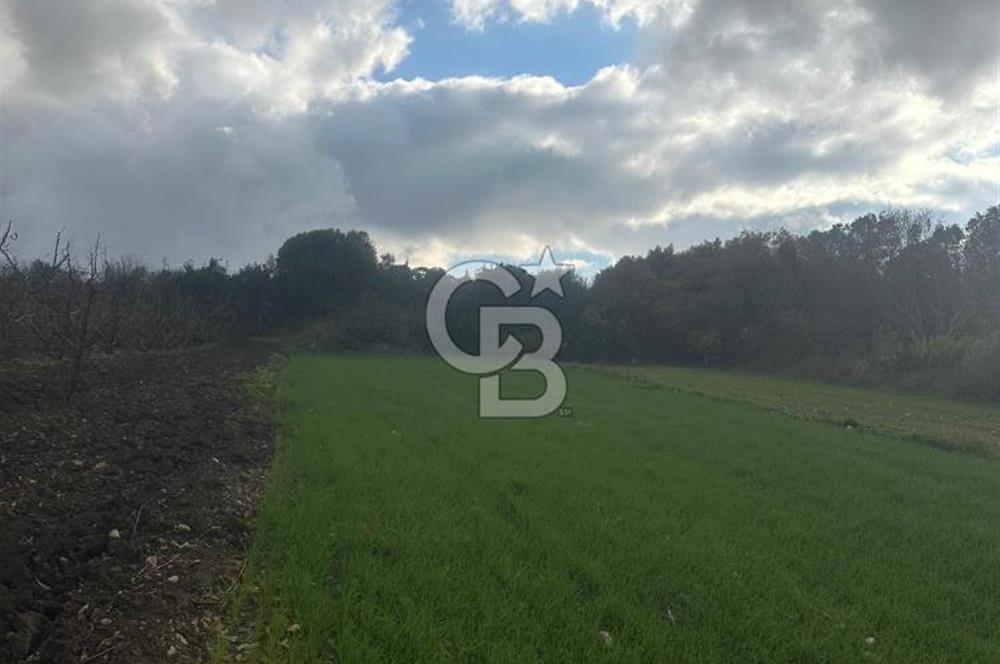 1915 Çanakkale Köprüsü Manzaralı Tarla Acil Satılık Fırsat!!