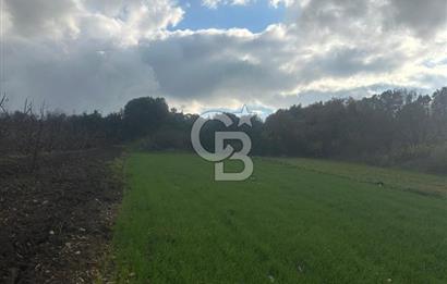 1915 Çanakkale Köprüsü Manzaralı Tarla Acil Satılık Fırsat!!