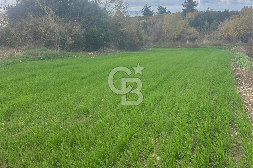 1915 Çanakkale Köprüsü Manzaralı Tarla Acil Satılık Fırsat!!