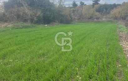 1915 Çanakkale Köprüsü Manzaralı Tarla Acil Satılık Fırsat!!