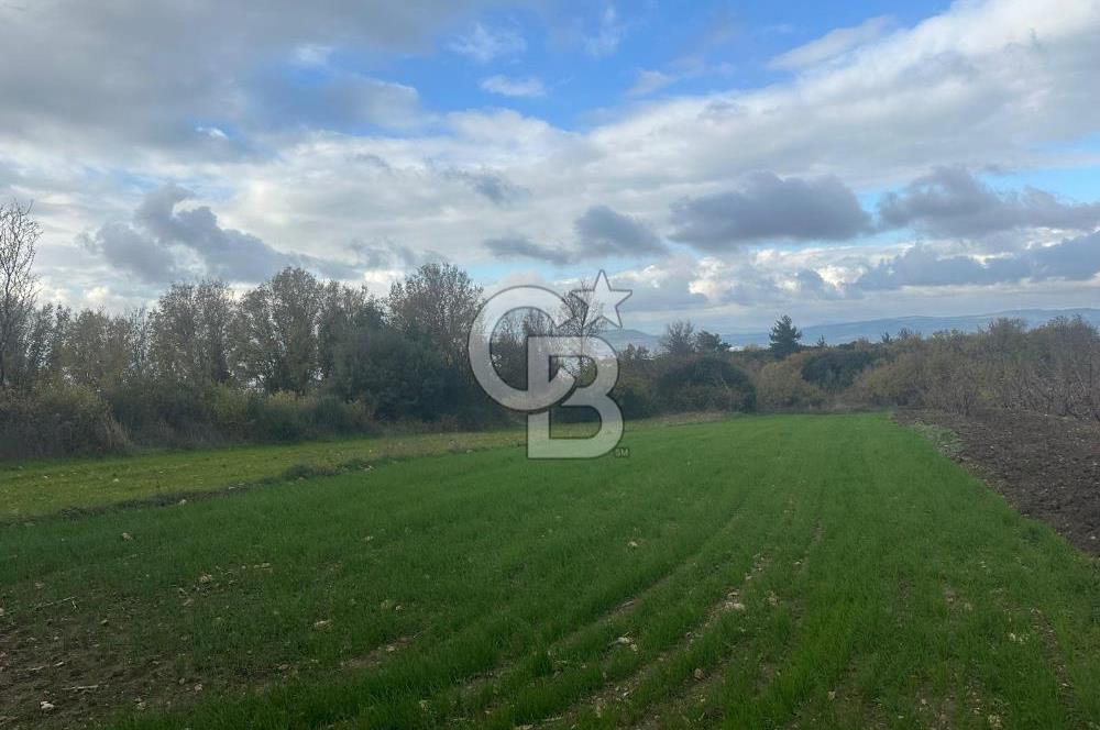 1915 Çanakkale Köprüsü Manzaralı Tarla Acil Satılık Fırsat!!