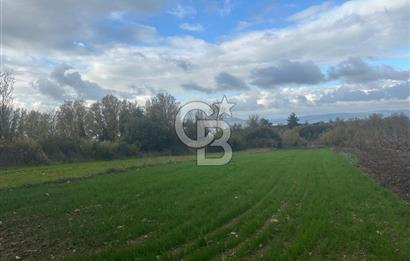 1915 Çanakkale Köprüsü Manzaralı Tarla Acil Satılık Fırsat!!