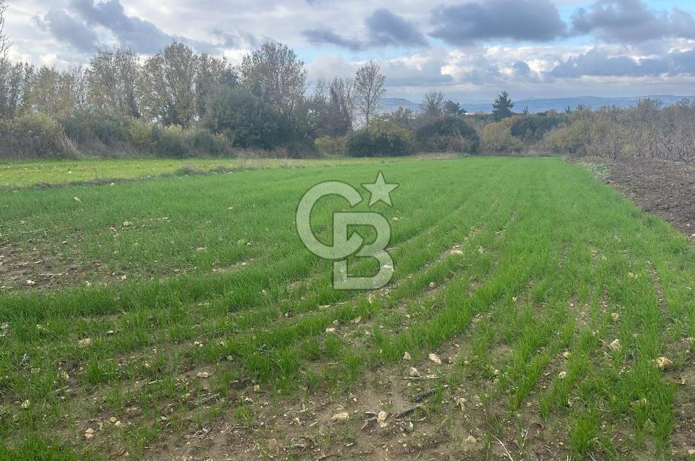 1915 Çanakkale Köprüsü Manzaralı Tarla Acil Satılık Fırsat!!