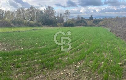 1915 Çanakkale Köprüsü Manzaralı Tarla Acil Satılık Fırsat!!