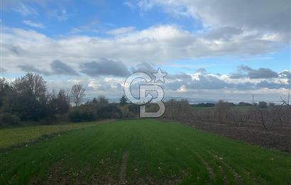 1915 Çanakkale Köprüsü Manzaralı Tarla Acil Satılık Fırsat!!