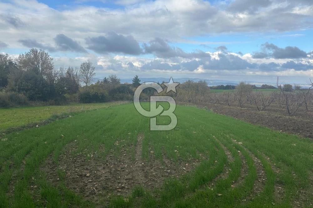 1915 Çanakkale Köprüsü Manzaralı Tarla Acil Satılık Fırsat!!