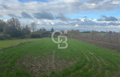 1915 Çanakkale Köprüsü Manzaralı Tarla Acil Satılık Fırsat!!