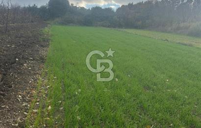 1915 Çanakkale Köprüsü Manzaralı Tarla Acil Satılık Fırsat!!