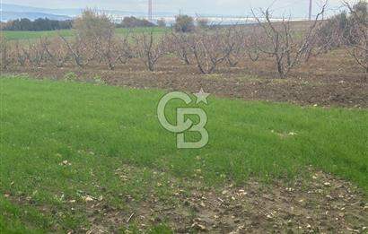 1915 Çanakkale Köprüsü Manzaralı Tarla Acil Satılık Fırsat!!