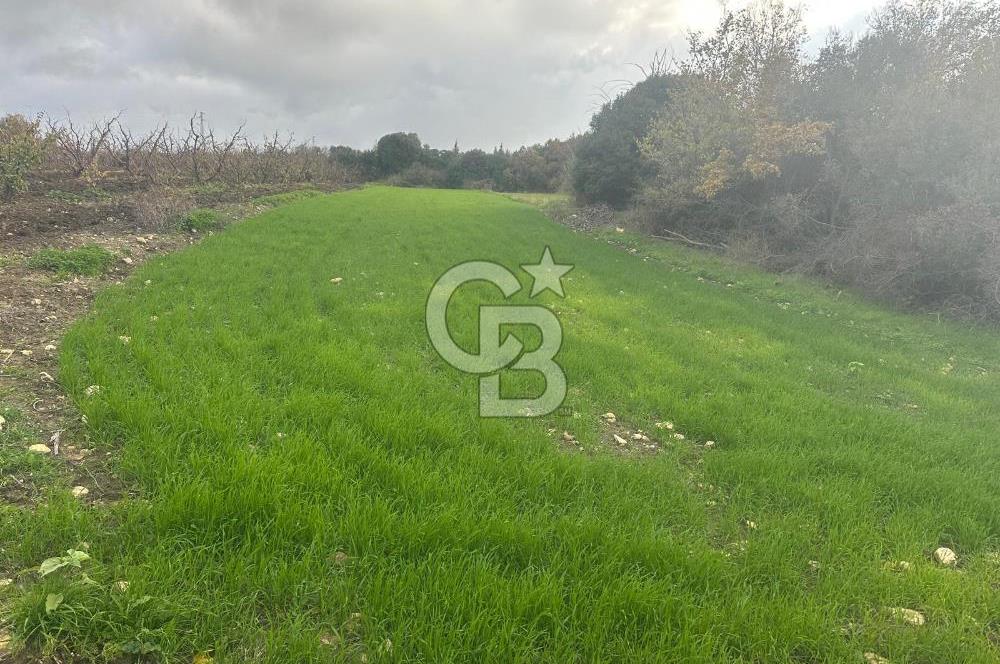 1915 Çanakkale Köprüsü Manzaralı Tarla Acil Satılık Fırsat!!