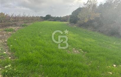 1915 Çanakkale Köprüsü Manzaralı Tarla Acil Satılık Fırsat!!