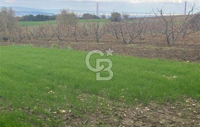 1915 Çanakkale Köprüsü Manzaralı Tarla Acil Satılık Fırsat!!