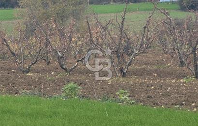 1915 Çanakkale Köprüsü Manzaralı Tarla Acil Satılık Fırsat!!