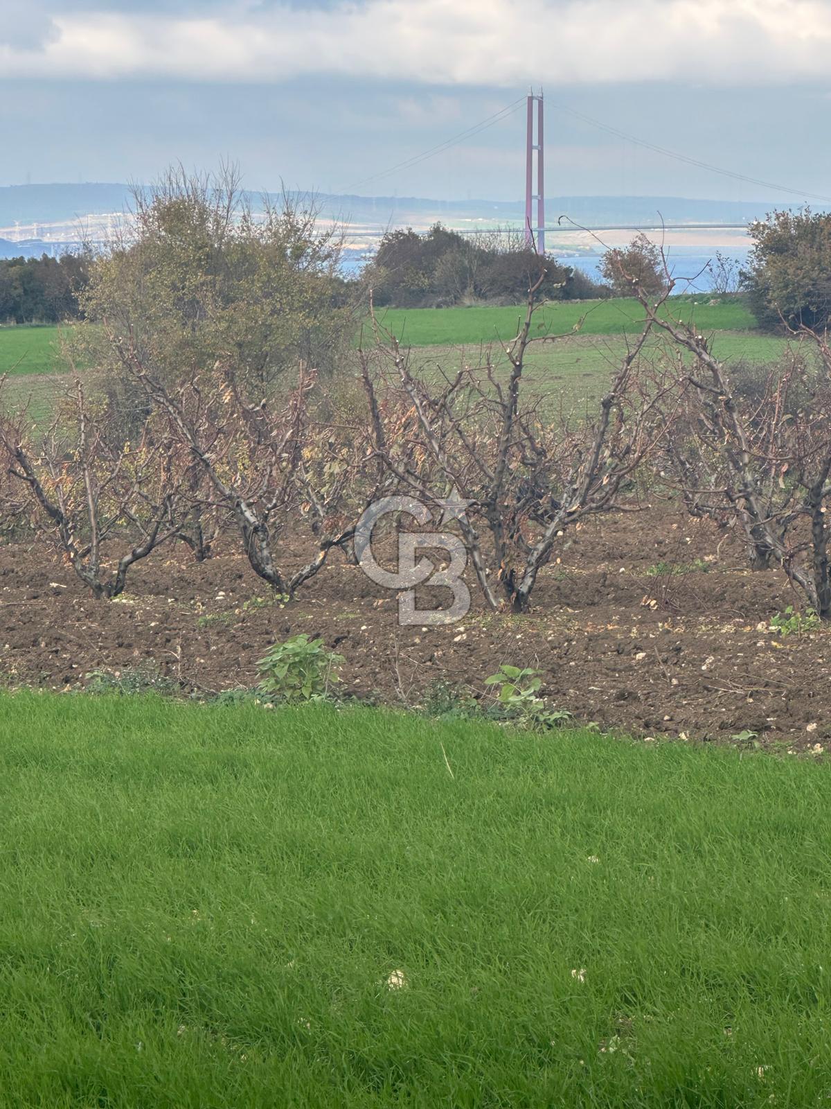1915 Çanakkale Köprüsü Manzaralı Tarla Acil Satılık Fırsat!!