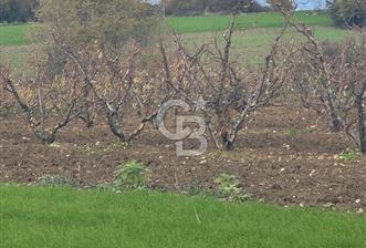 1915 Çanakkale Köprüsü Manzaralı Tarla Acil Satılık Fırsat!! - 1 - 323784