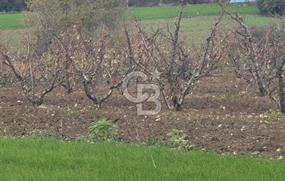 1915 Çanakkale Köprüsü Manzaralı Tarla Acil Satılık Fırsat!!