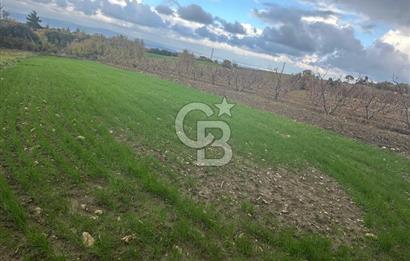 1915 Çanakkale Köprüsü Manzaralı Tarla Acil Satılık Fırsat!!