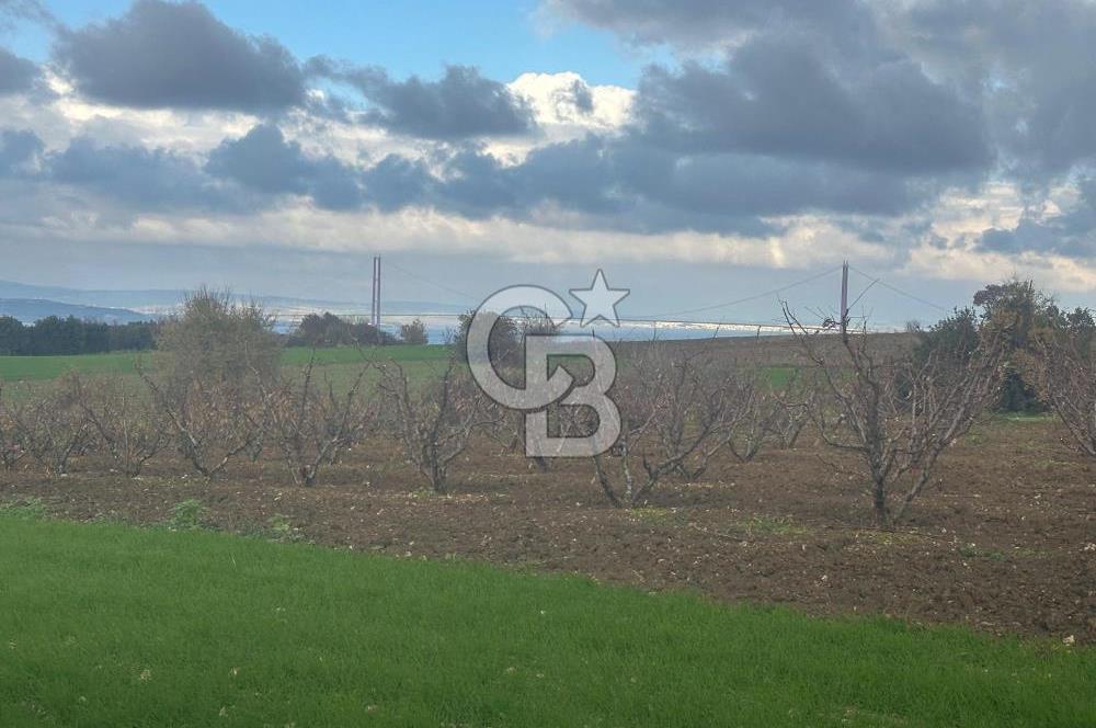 1915 Çanakkale Köprüsü Manzaralı Tarla Acil Satılık Fırsat!!