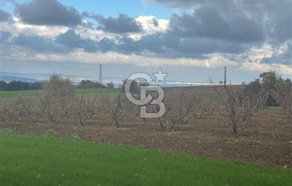 1915 Çanakkale Köprüsü Manzaralı Tarla Acil Satılık Fırsat!!