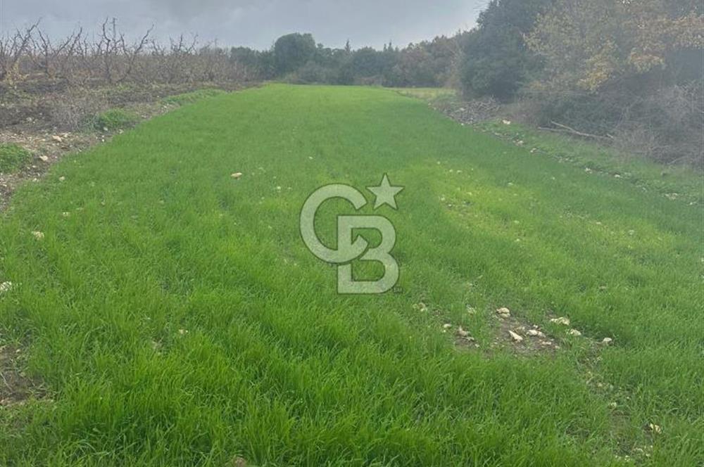 1915 Çanakkale Köprüsü Manzaralı Tarla Acil Satılık Fırsat!!