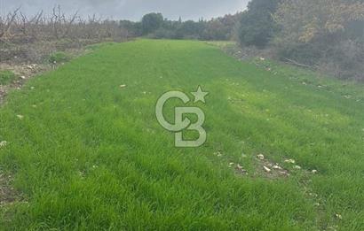 1915 Çanakkale Köprüsü Manzaralı Tarla Acil Satılık Fırsat!!