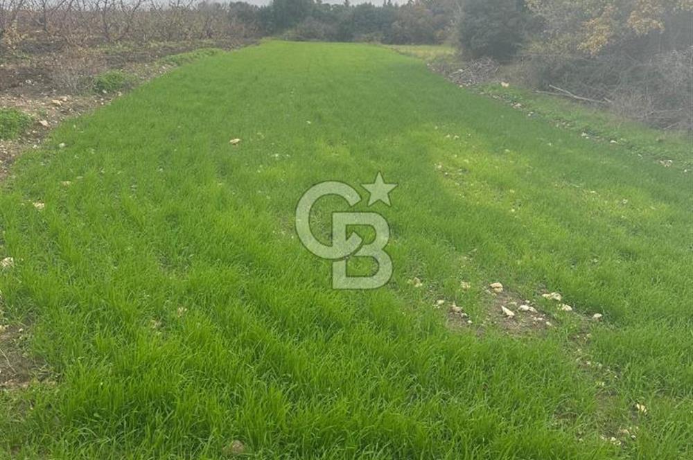 1915 Çanakkale Köprüsü Manzaralı Tarla Acil Satılık Fırsat!!