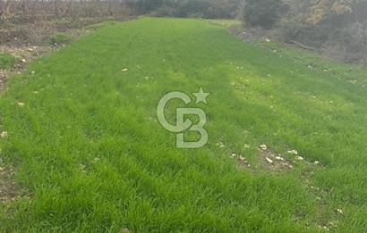 1915 Çanakkale Köprüsü Manzaralı Tarla Acil Satılık Fırsat!!