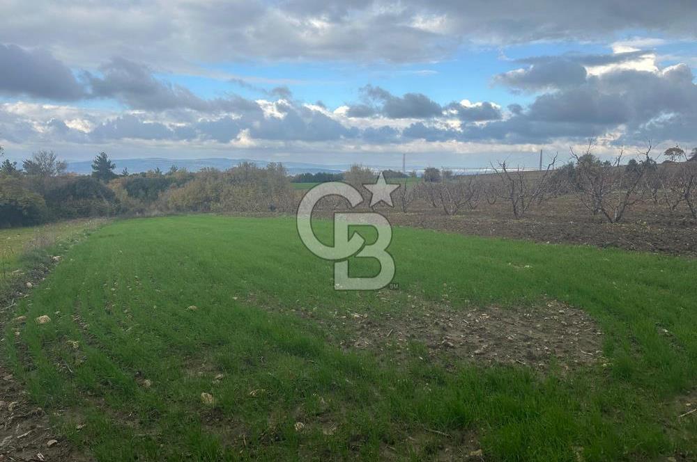 1915 Çanakkale Köprüsü Manzaralı Tarla Acil Satılık Fırsat!!