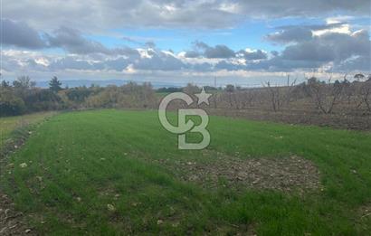 1915 Çanakkale Köprüsü Manzaralı Tarla Acil Satılık Fırsat!!