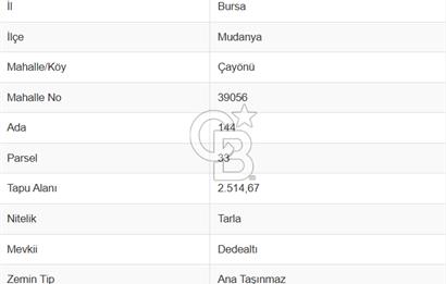 BURSA/MUDANYA/ÇAYÖNÜ TEKNOSAP YAKININDA SATILIK YATIRIMLIK TARLA