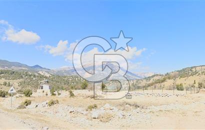 DOĞANIN İÇİNDE, ŞEHRE YAKIN SATILIK İMARLI ARSA