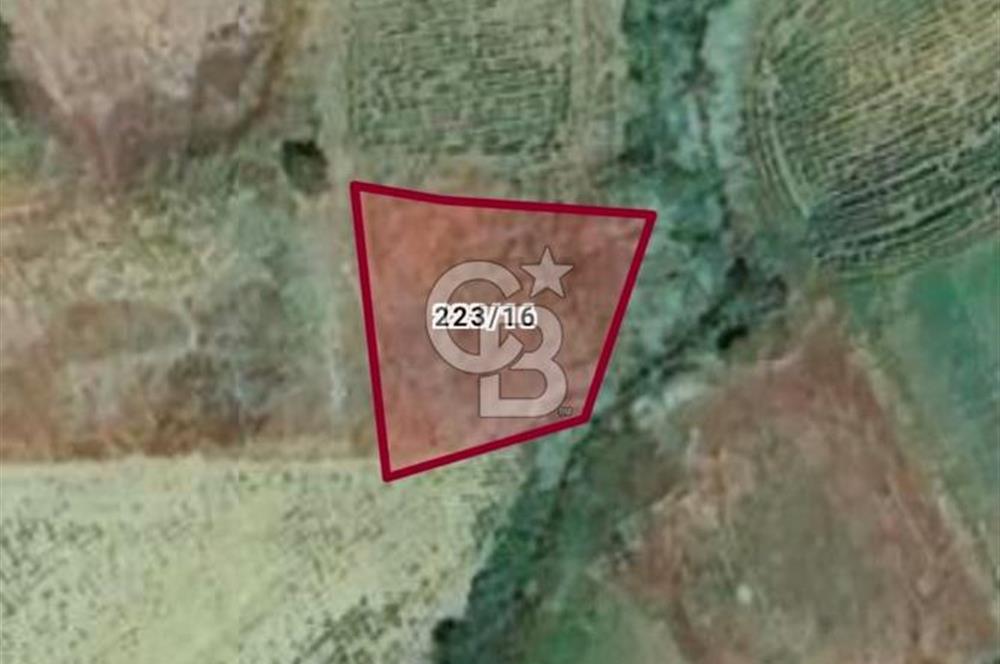 TEKİRDAĞ SÜLEYMANPAŞA SEMETLİ KÖYÜ SATILIK İMARLI ARSA