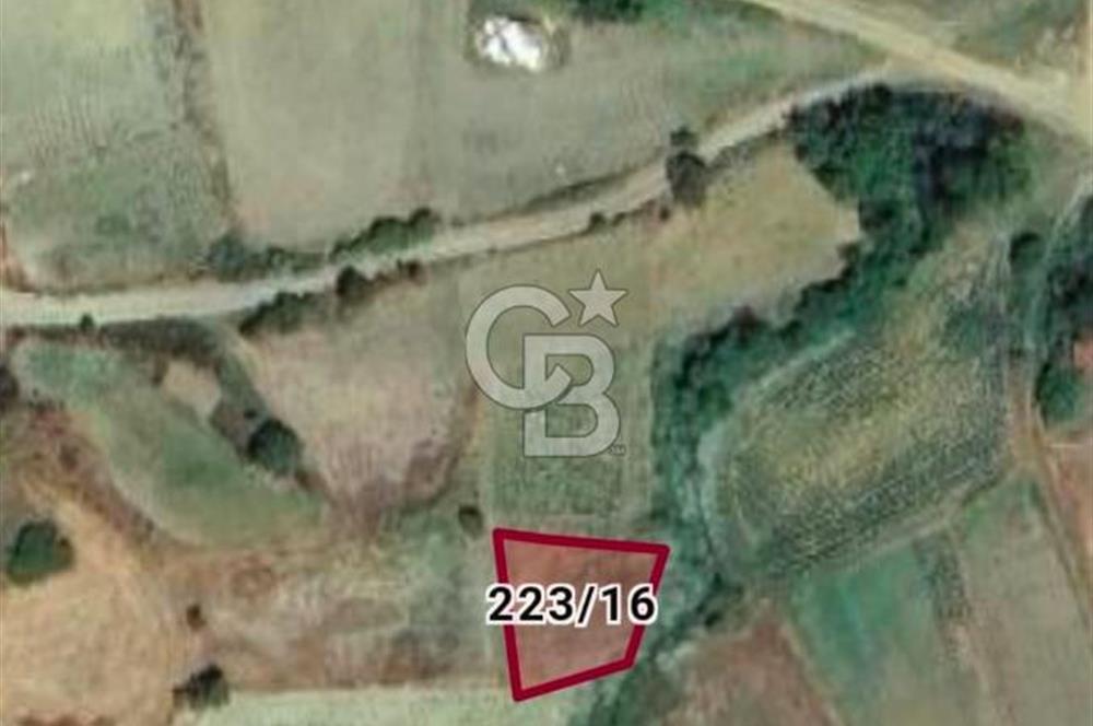 TEKİRDAĞ SÜLEYMANPAŞA SEMETLİ KÖYÜ SATILIK İMARLI ARSA