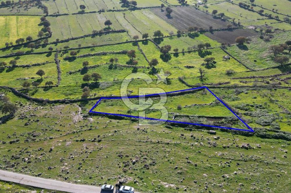 MENEMEN TELEKLERDE SATILIK 2 HİSSE 530 M² TARLA