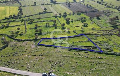 MENEMEN TELEKLERDE SATILIK 2 HİSSE 530 M² TARLA