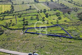 MENEMEN TELEKLERDE SATILIK 265 M² TARLA - 9 - 323819