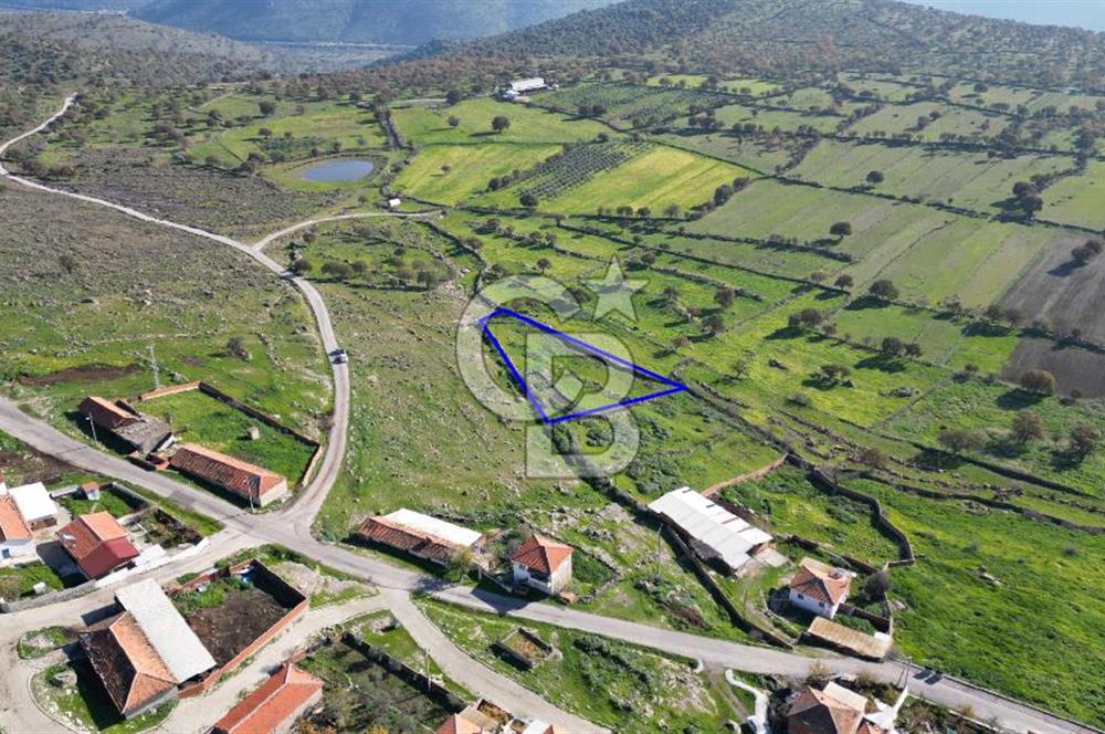 MENEMEN TELEKLERDE SATILIK 265 M² TARLA