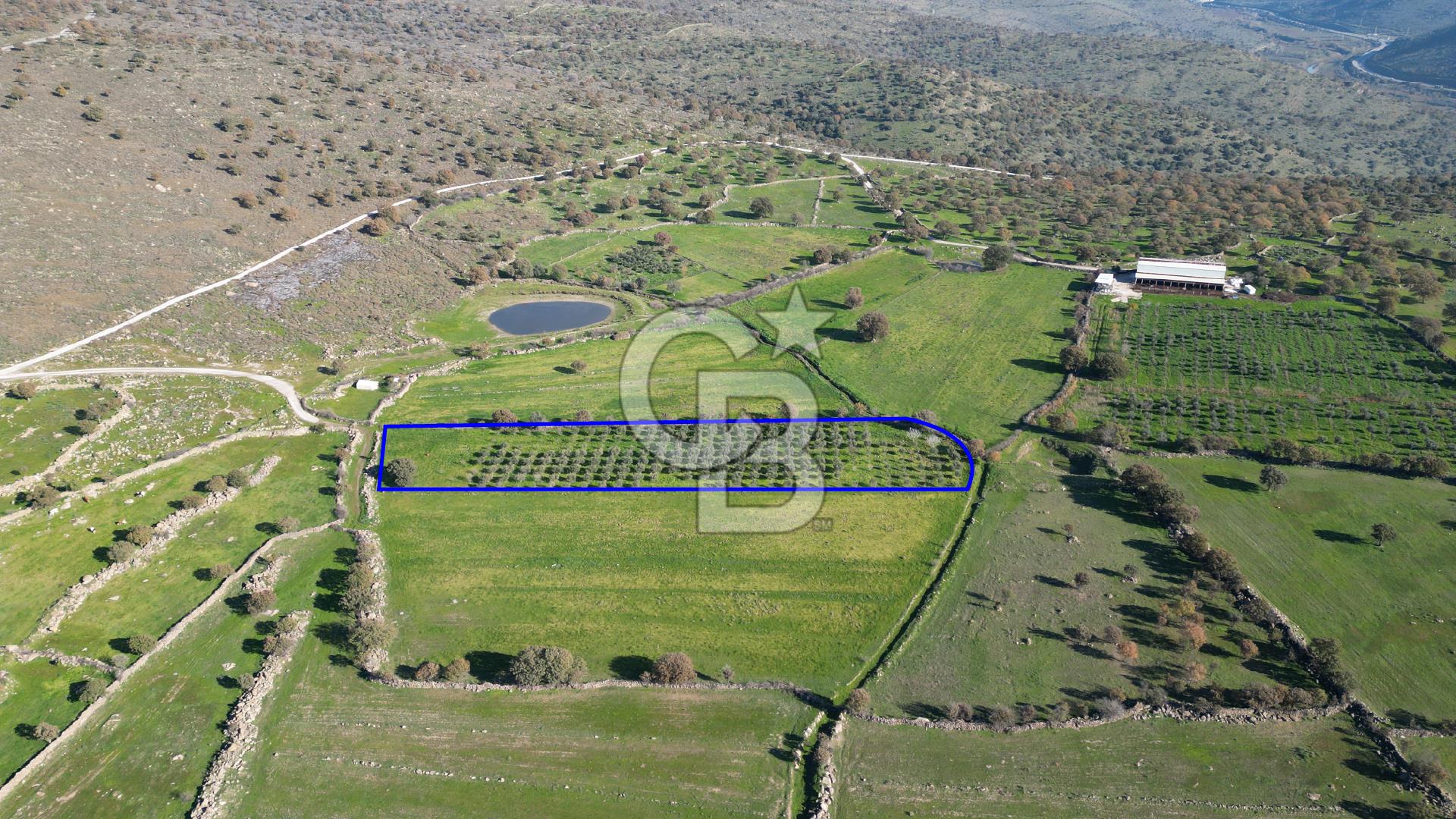 MENEMEN TELEKLERDE SATILIK 3.214 M² TARLA