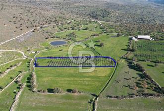 MENEMEN TELEKLERDE SATILIK 3.214 M² TARLA - 1 - 323815