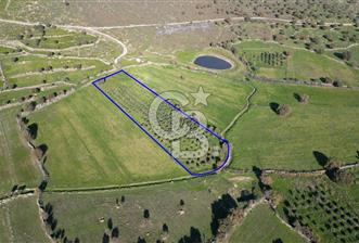 MENEMEN TELEKLERDE SATILIK 2 HİSSE 6.428 M² TARLA - 10 - 323818