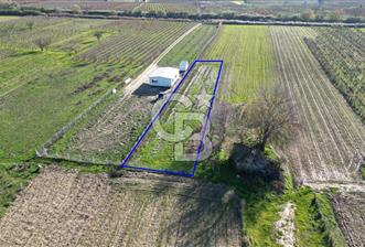 MANİSA YUNUSEMRE YAĞCILARDA 1.254 M² SATILIK TARLA - 1 - 323814